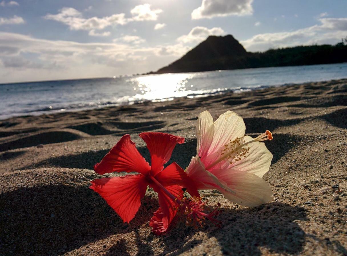 Howard Beach Resort Kenting Zewnętrze zdjęcie